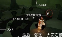 光遇最新大爆料,揭秘神秘新篇章，探索未知领域