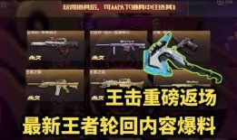 王者之击爆料视频大全集,揭秘爆料视频大全集精彩瞬间